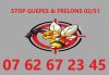 02/51 STOP GUEPES &  FRELONS - E.I Sébastien LEFEVRE