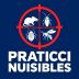 PRATICCI NUISIBLES