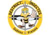 DESTRUCT INSECTES GUÊPES ET FRELONS